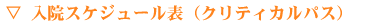 入院スケジュール表(クリティカルパス)