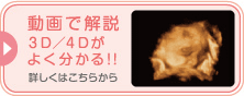 動画で解説3D/4Dがよく分かる